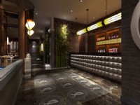 徽川口袋鸭