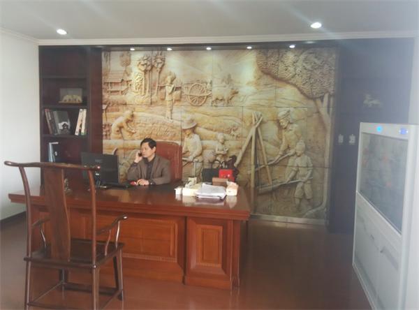 公司展示